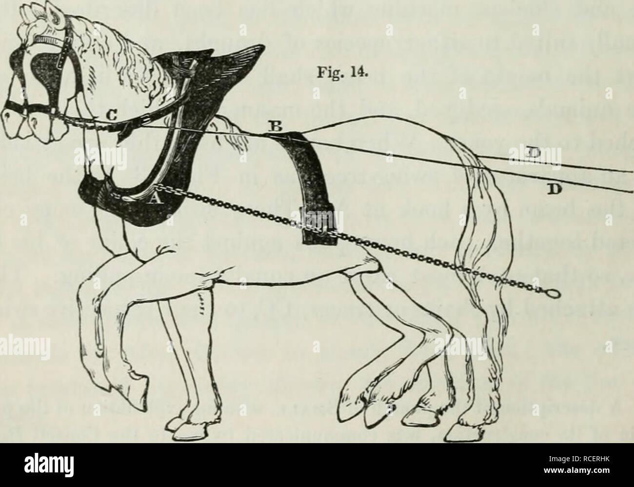 . Elements of practical agriculture; comprehending the cultivation of ... Biology Diagrams