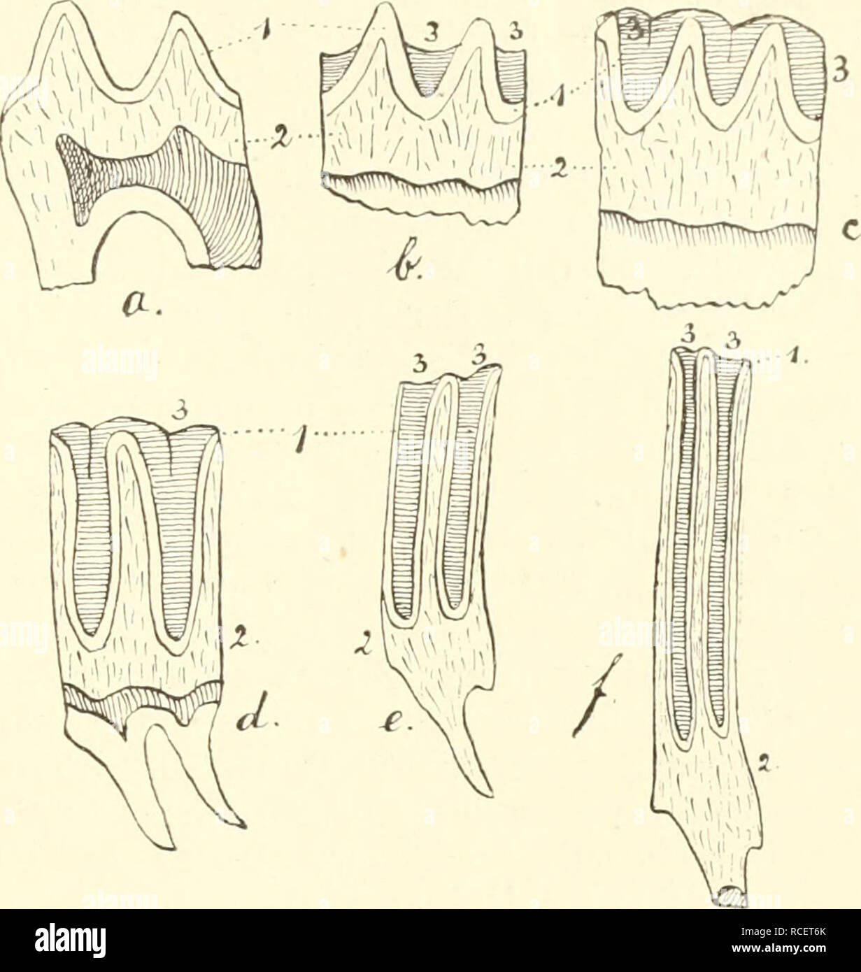 Get Einen charakter formen Free