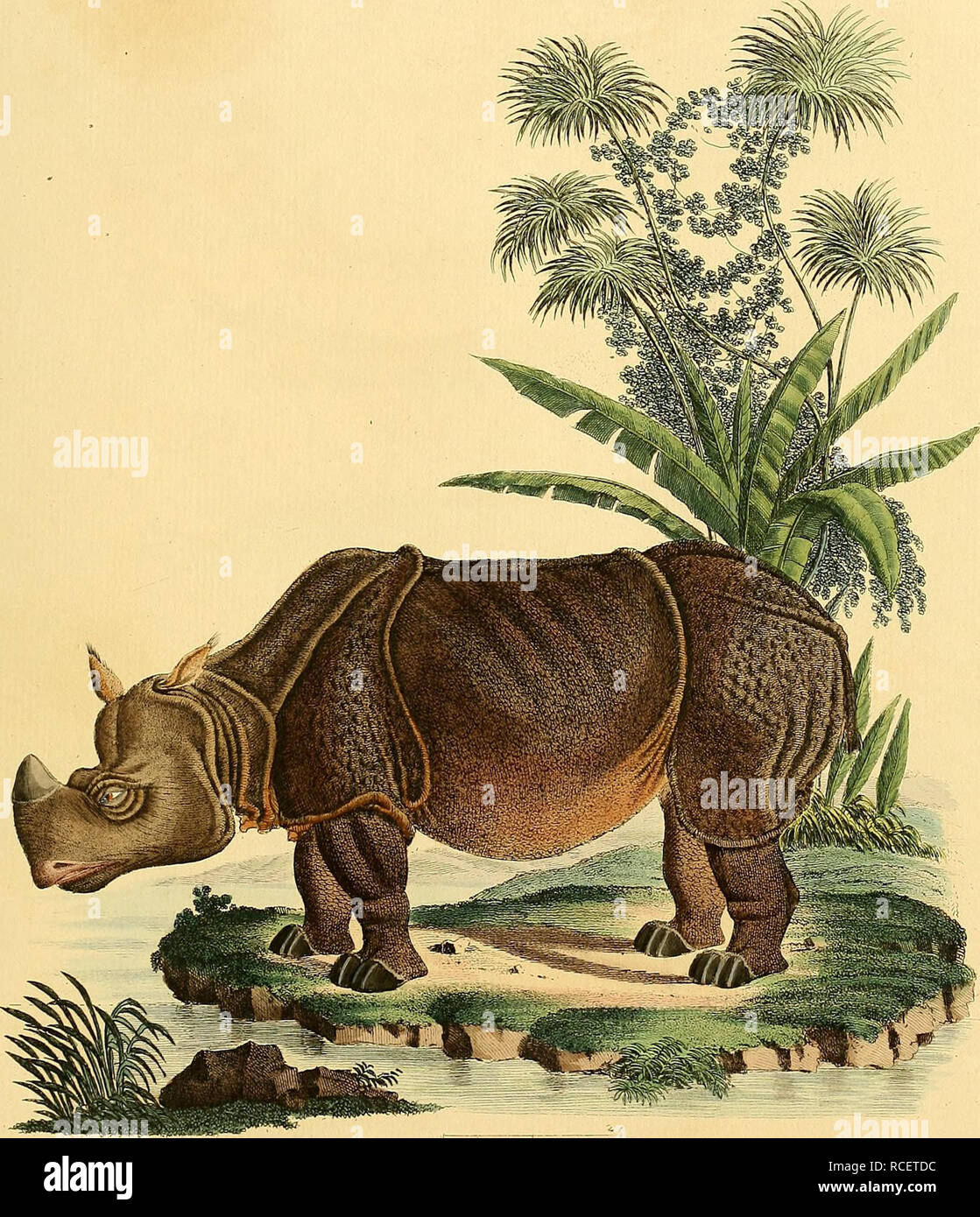 NACH Schreber hi-res stock photography and images - Page 12 - Alamy