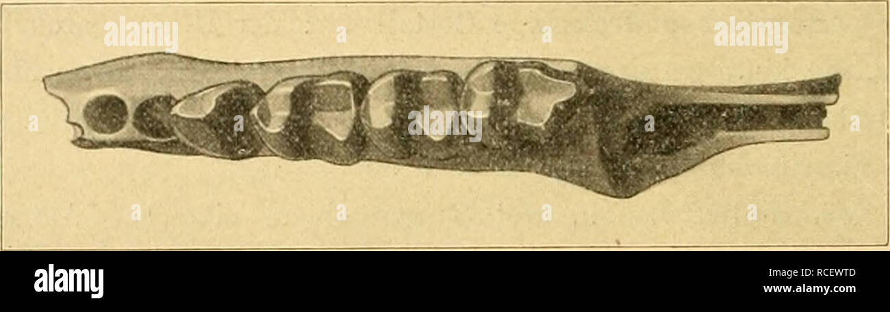 Unter dem joch hires stock photography and images Alamy