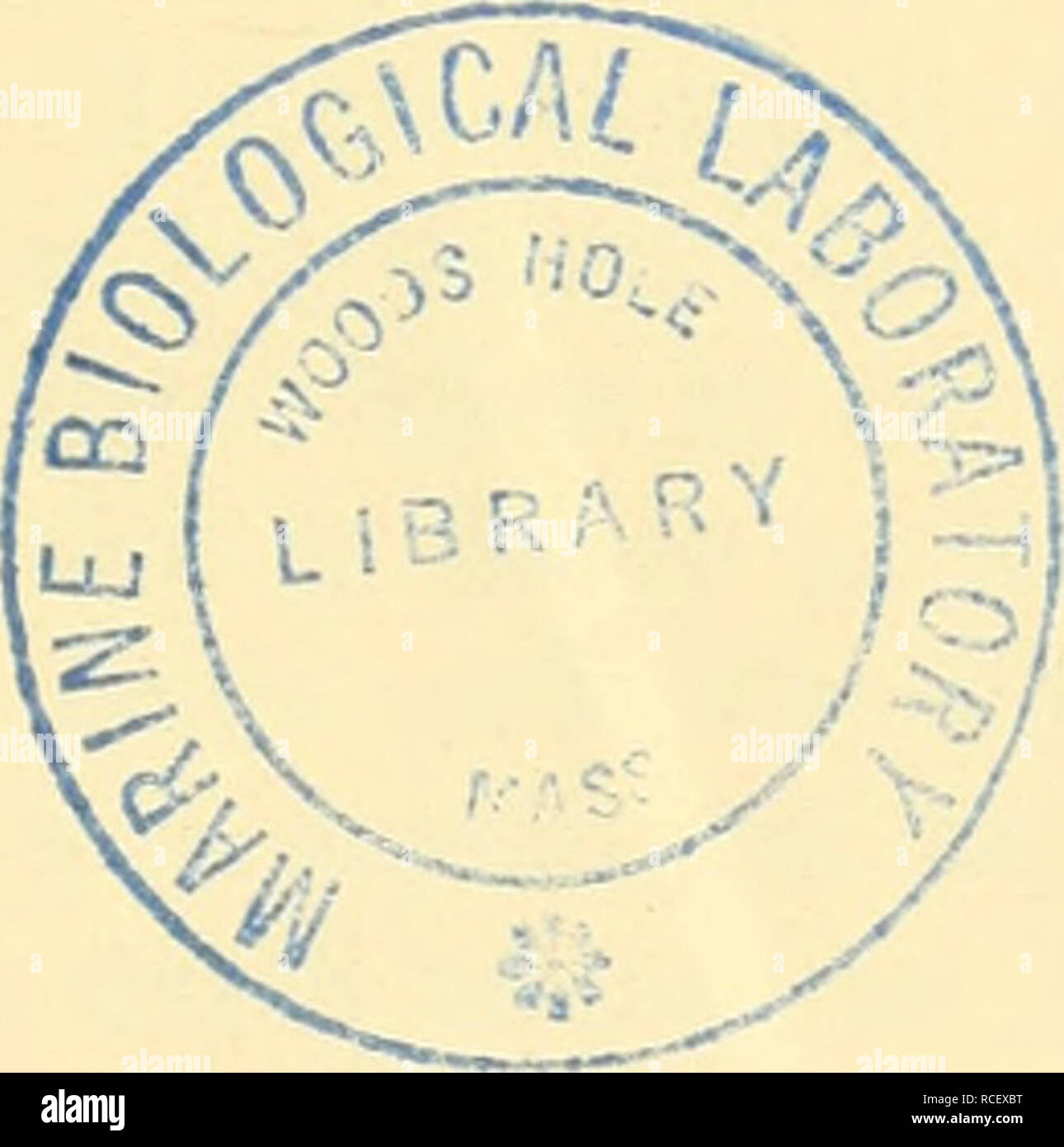 . Die Stoffliche Grundlage der Vererbung. Heredity. Die stoffliche Grundlage der Vererbung vou Thomas Hunt Morgan Professor der experimentellen Zoologie an der Columbia-Universität in New York Mit 118 Abbildungen A^'om Verfasser autorisierte deutsche Ausg'abe von Hans Nachtsheim Privatdozeut für Vererbungslehre an der Landwirtschaftlichen Hochschule Berlin. Berlin Verlag von Gebrüder Borntraeger W 35 Schönoberger Ufer 12 a 1921. Please note that these images are extracted from scanned page images that may have been digitally enhanced for readability - coloration and appearance of these illustr Stock Photo