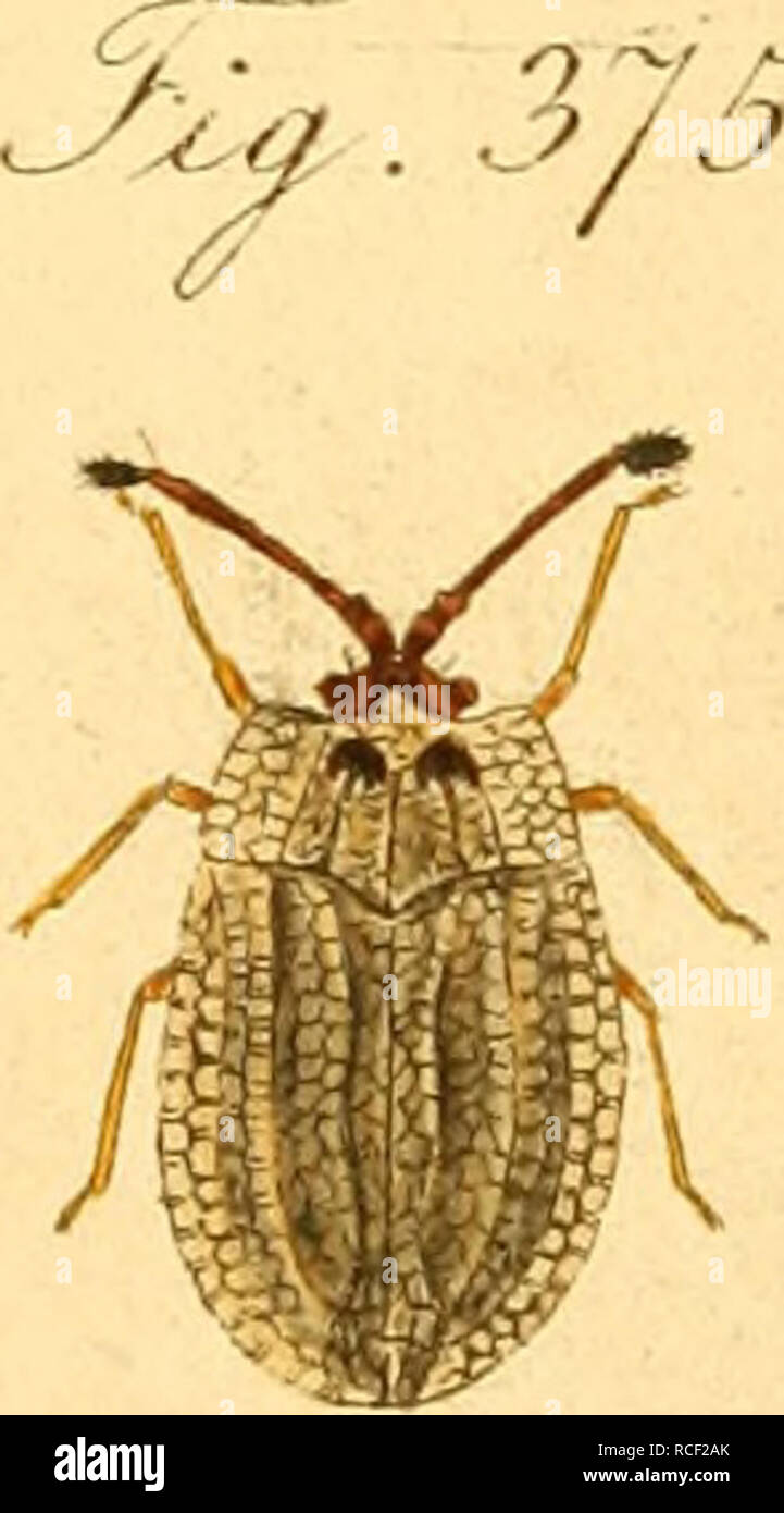 1874 N A Wilhelm His High Resolution Stock Photography And Images Alamy