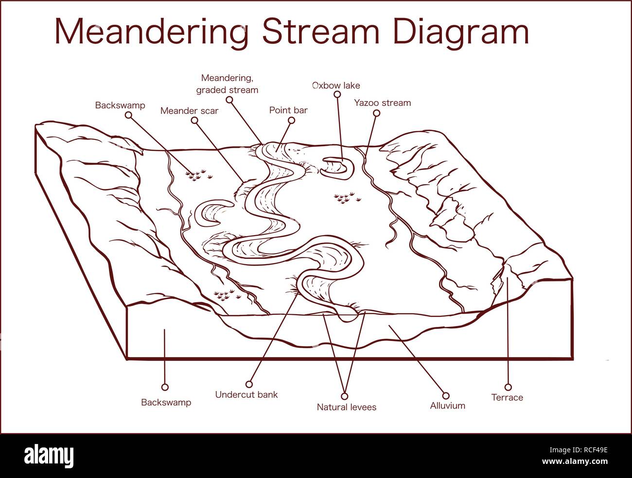 Vector illustration of a Meandering Stream Stock Vector