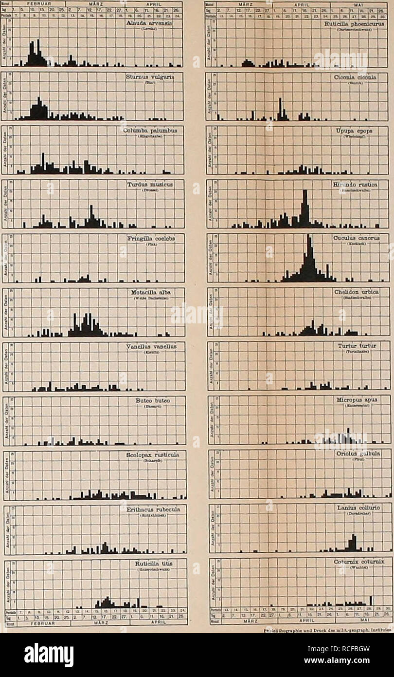 Die Schwalbe Berichte Des Comita C S Fa R Ornithologische Beobachtungs Stationen In Asterreich Swallows Birds Ornithology 17 18 J Aliuda A A Mm 1 I Tr Quot K It Il 4 I 1 4 R