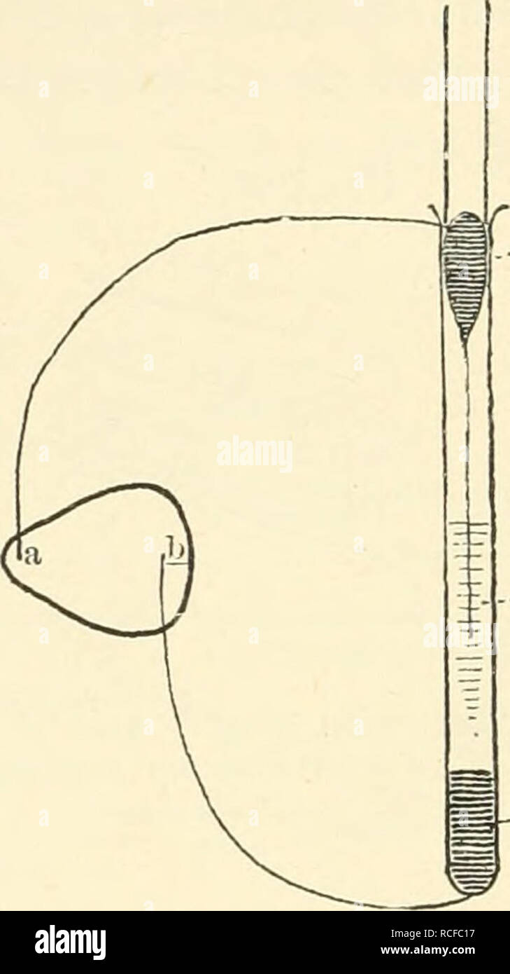. Elements of human physiology. Physiology. 706 PHYyiOLOGY glass and