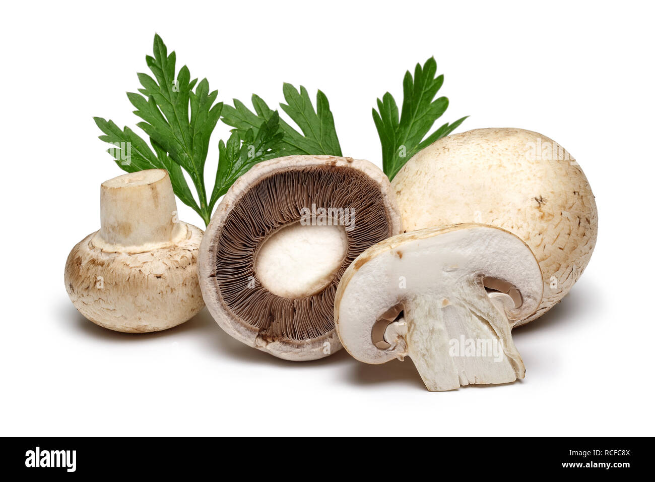 блюда с грибами. вкусные шампиньоны. грибы на столе. грибы шампиньоны.