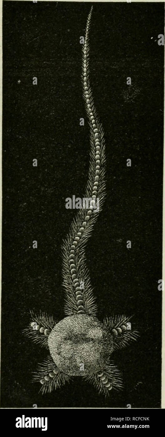 Stromi hires stock photography and images Alamy