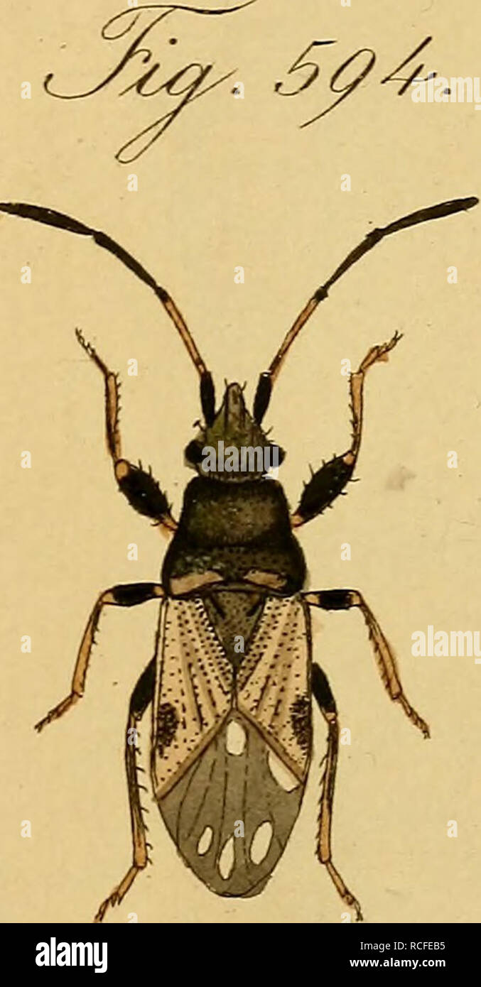 F91 High Resolution Stock Photography And Images Alamy