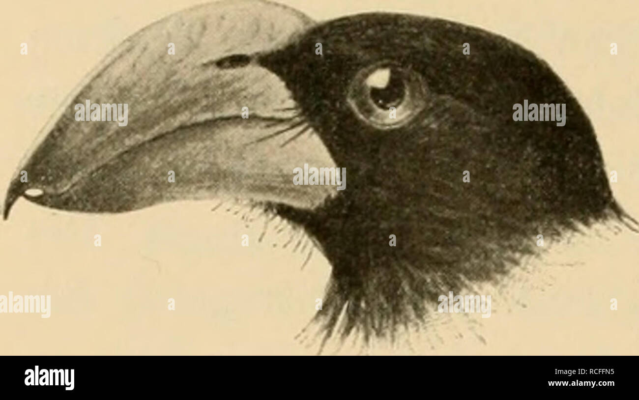 wurgen high resolution stock photography and images alamy