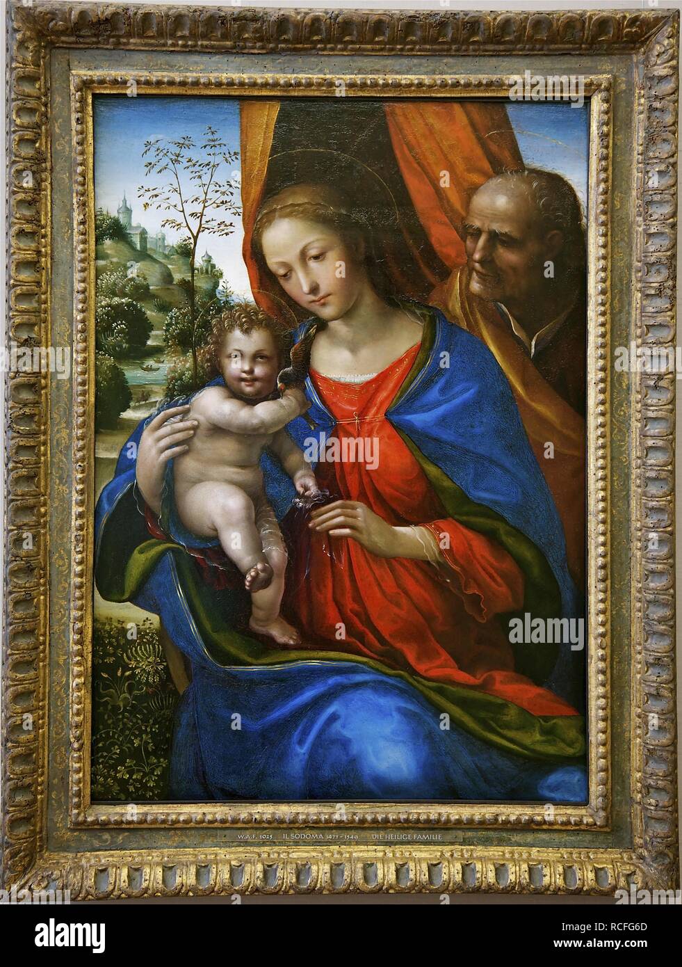 The Holy Family. Museum: Alte Pinakothek, Munich. Author: SODOMA. Stock Photo