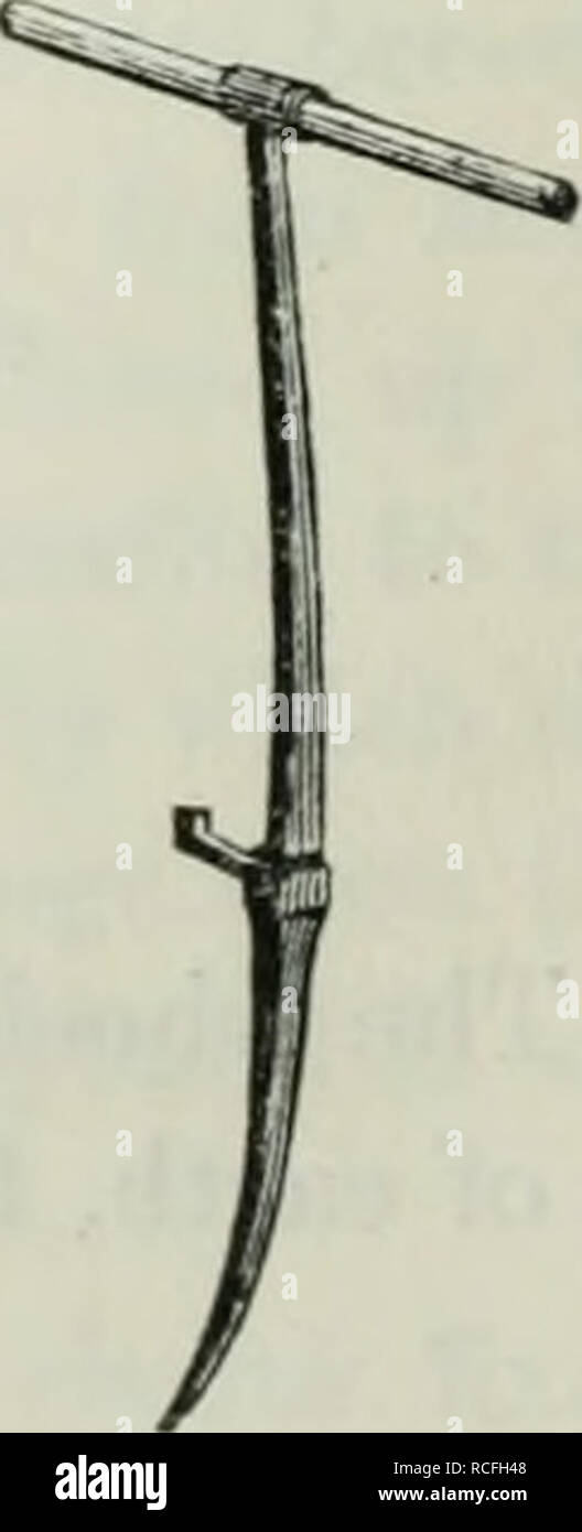 . Elements of practical agriculture; comprehending the cultivation of