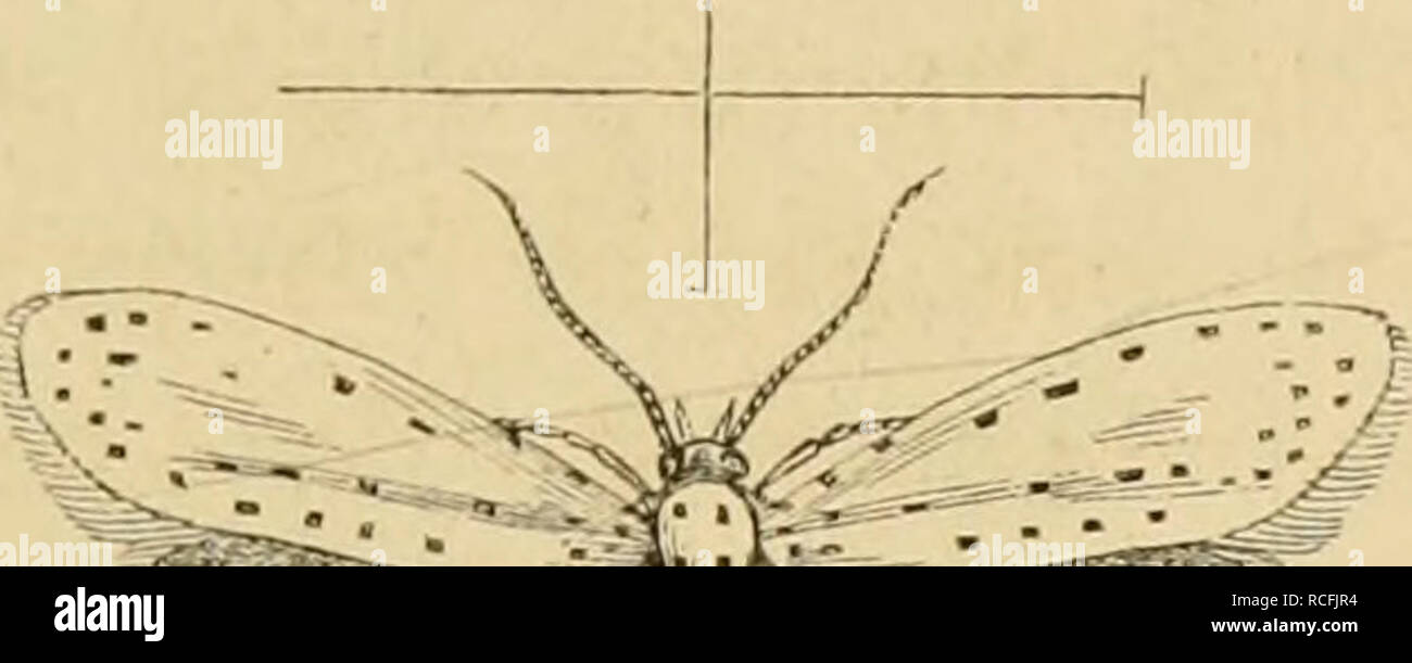 Page 175 T U G High Resolution Stock Photography And Images Alamy