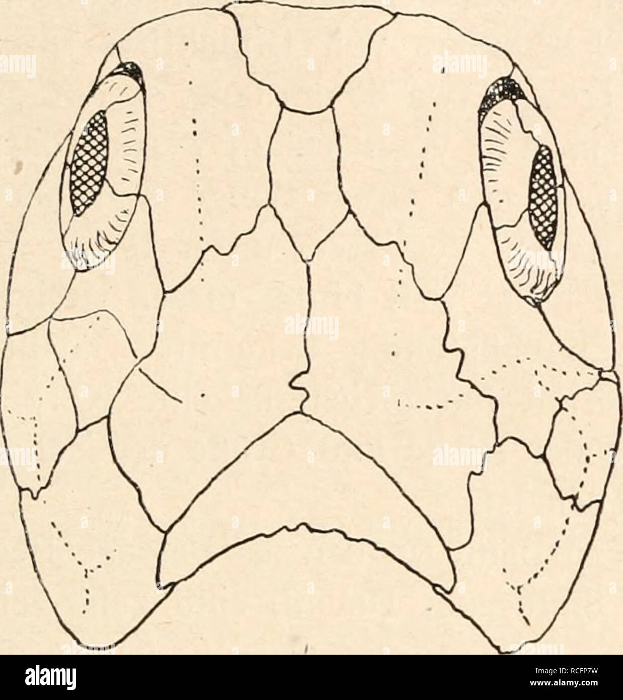 Wir Kommen High Resolution Stock Photography And Images Alamy