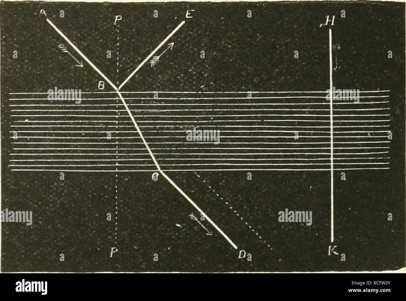 . Elements of human physiology. Physiology. )50 PHYSIOLOGY Section 6 ...
