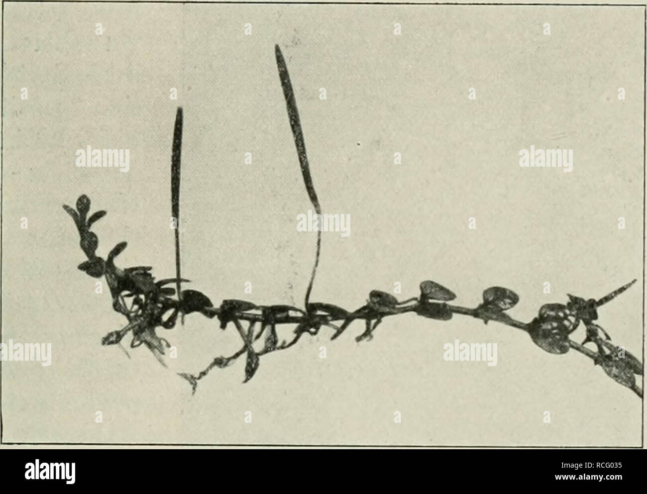 Unter Der Erde High Resolution Stock Photography and Images - Alamy