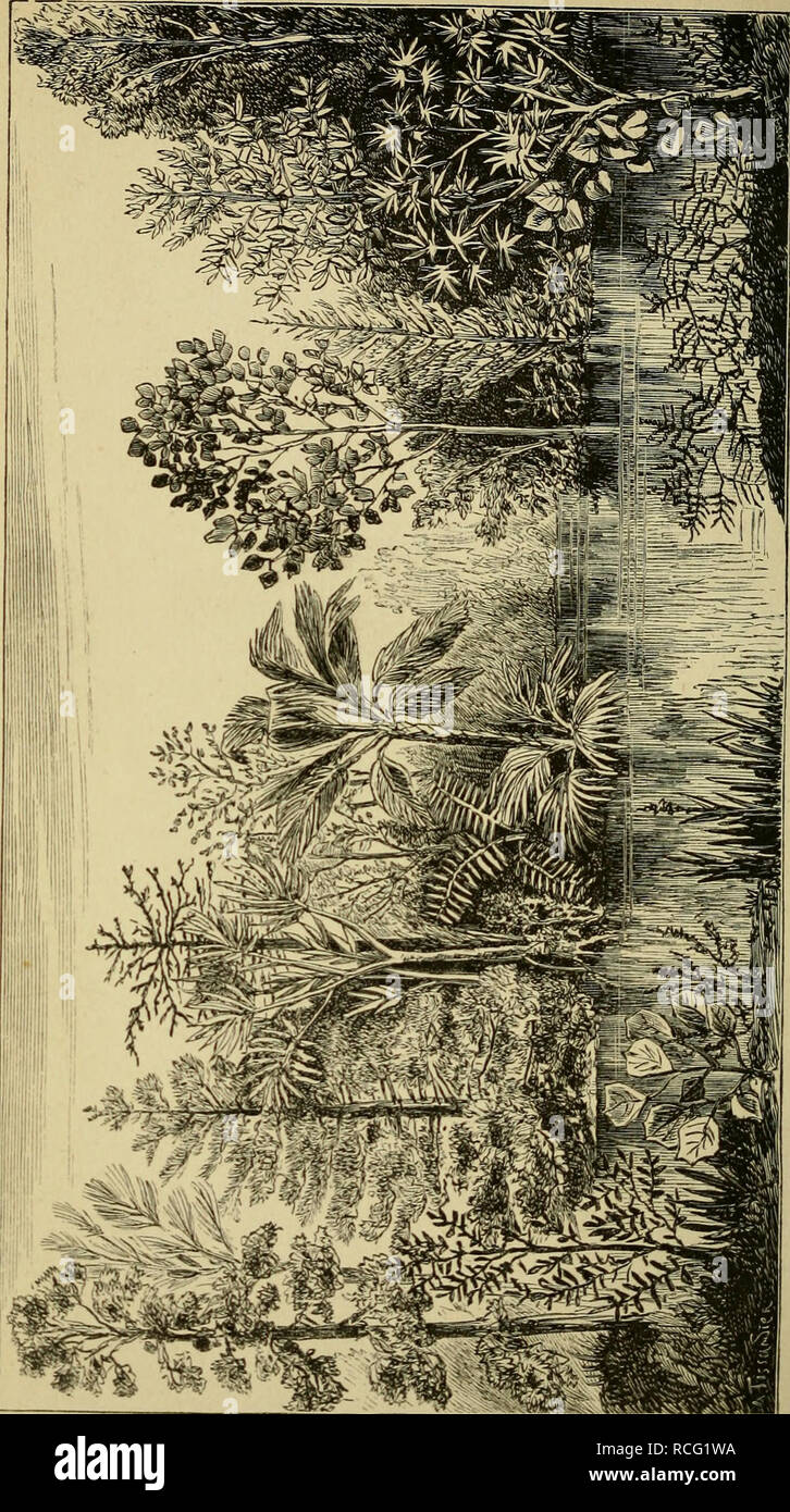 L 4h High Resolution Stock Photography And Images Alamy