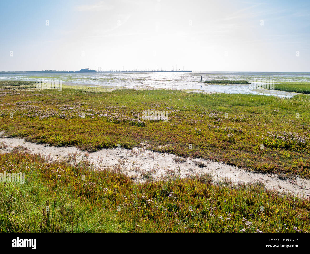 Panorama of harbour, salt marsh and tidal flat at low tide of Wadden Sea on West Frisian island Schiermonnikoog, Netherlands Stock Photo