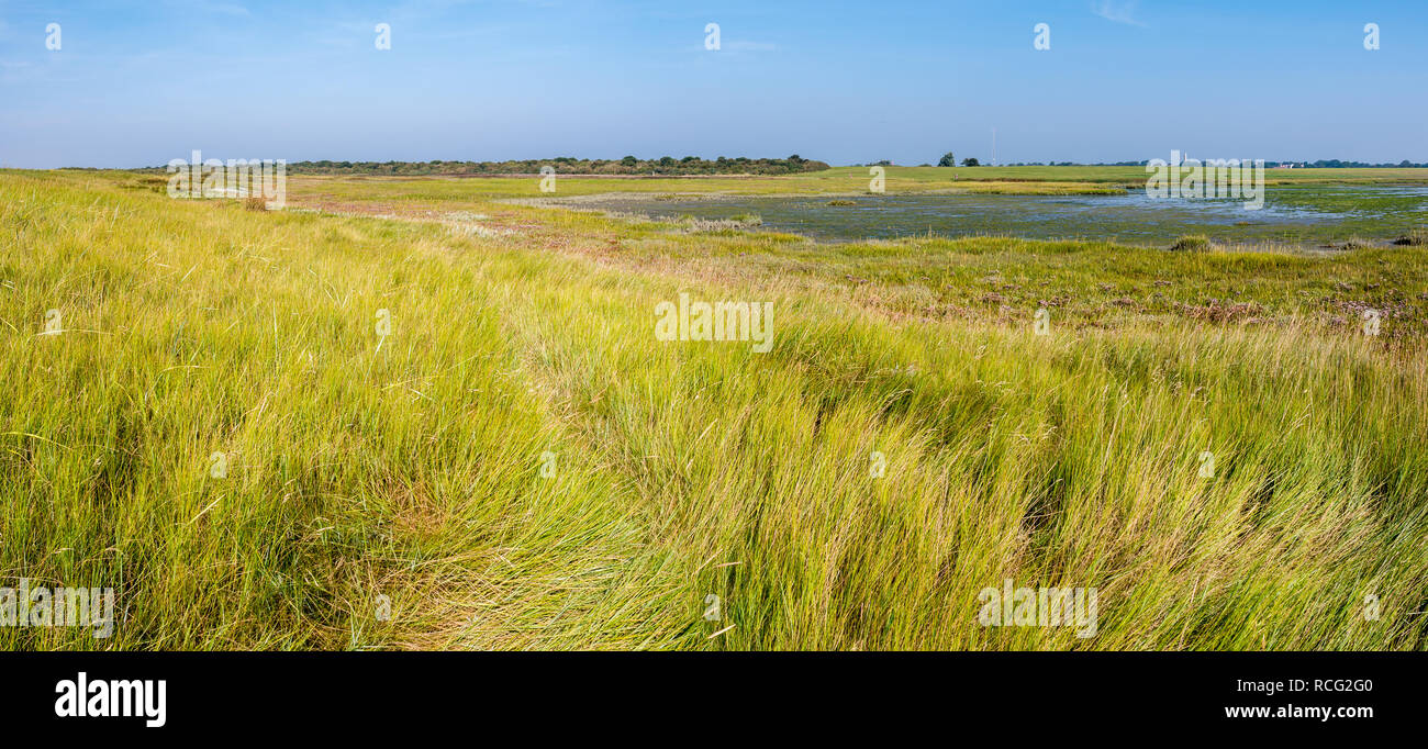 Panorama of salt marshes and tidal flats at low tide of Wadden Sea on West Frisian island Schiermonnikoog, Netherlands Stock Photo