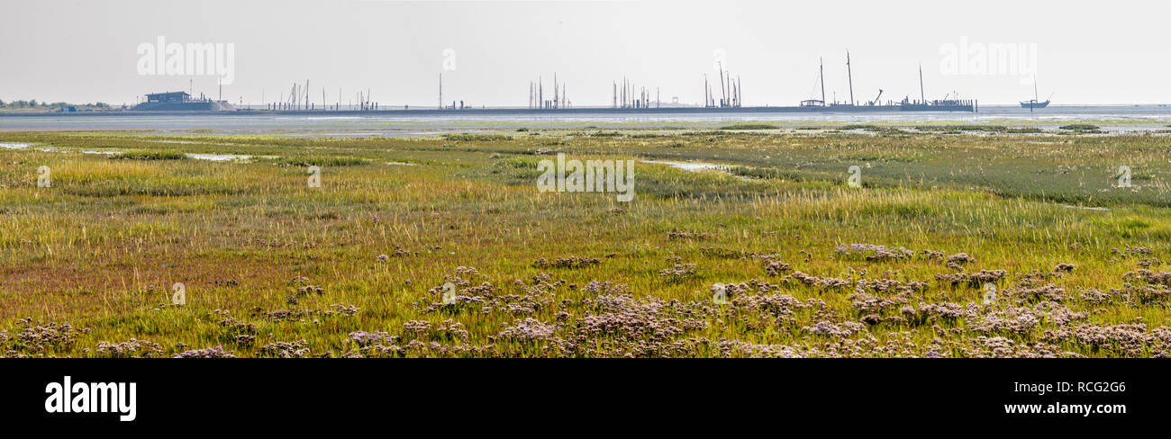 Panorama of harbour, salt marsh and tidal flat at low tide of Wadden Sea on West Frisian island Schiermonnikoog, Netherlands Stock Photo