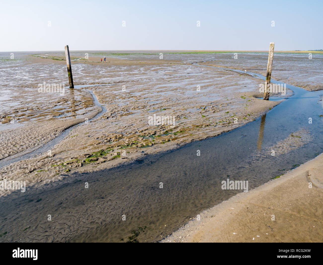 People walking on mud flats and tideway marked with wooden poles at low tide of Wadden Sea near Schiermonnikoog, Netherlands Stock Photo