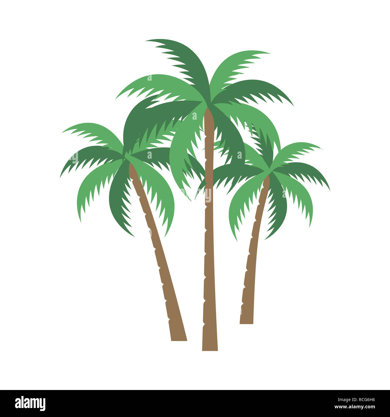 palm tree vector design Stock Photo Alamy