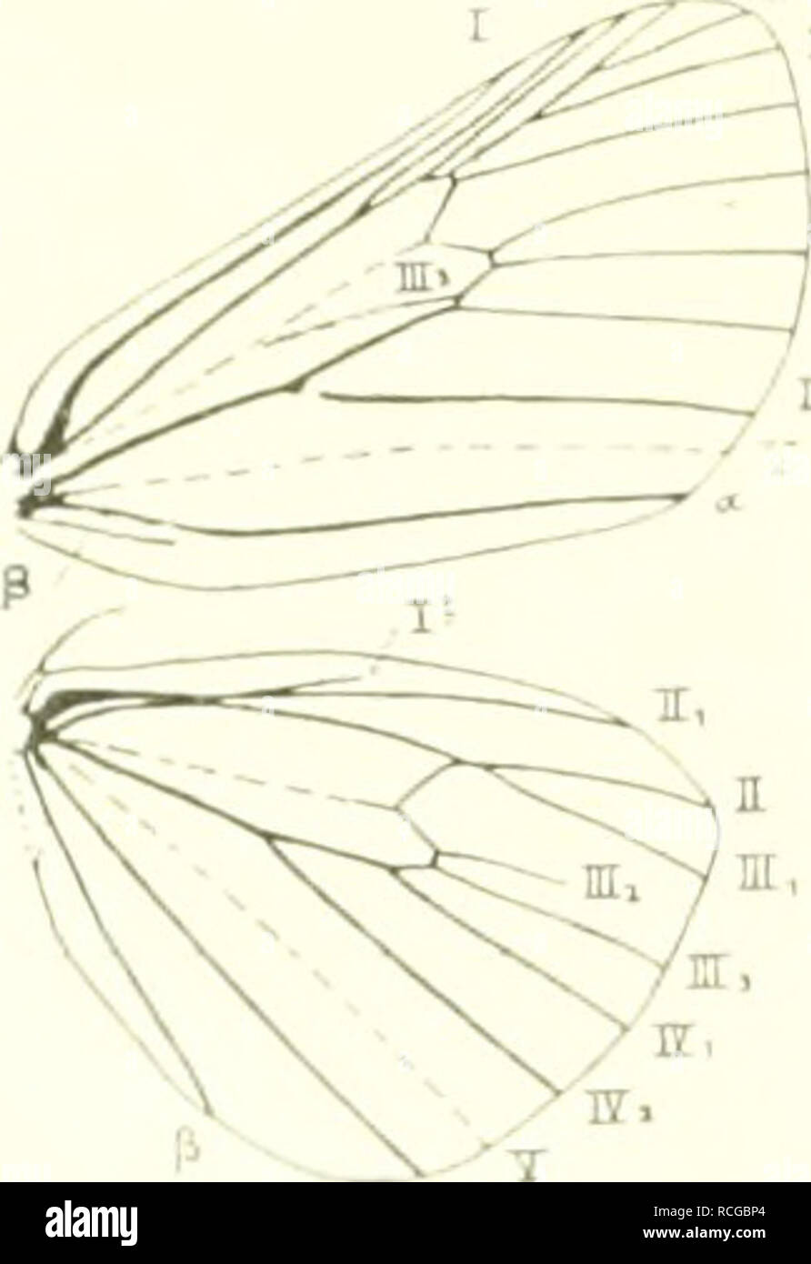 Trennung 7 High Resolution Stock Photography And Images Alamy