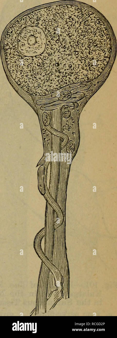 polar look kéo power