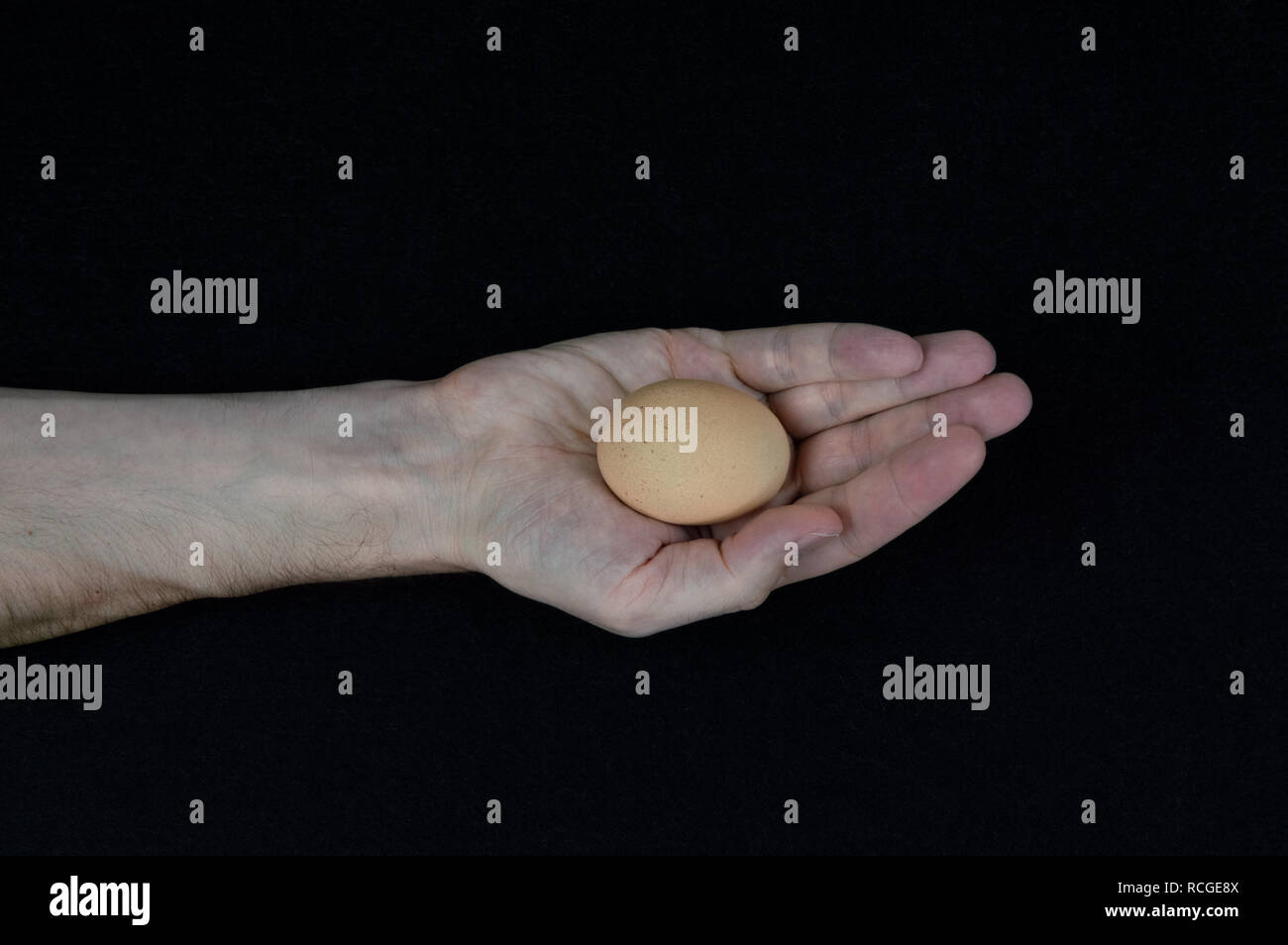 Man holding one brown egg in his hand on a black felt background Stock Photo