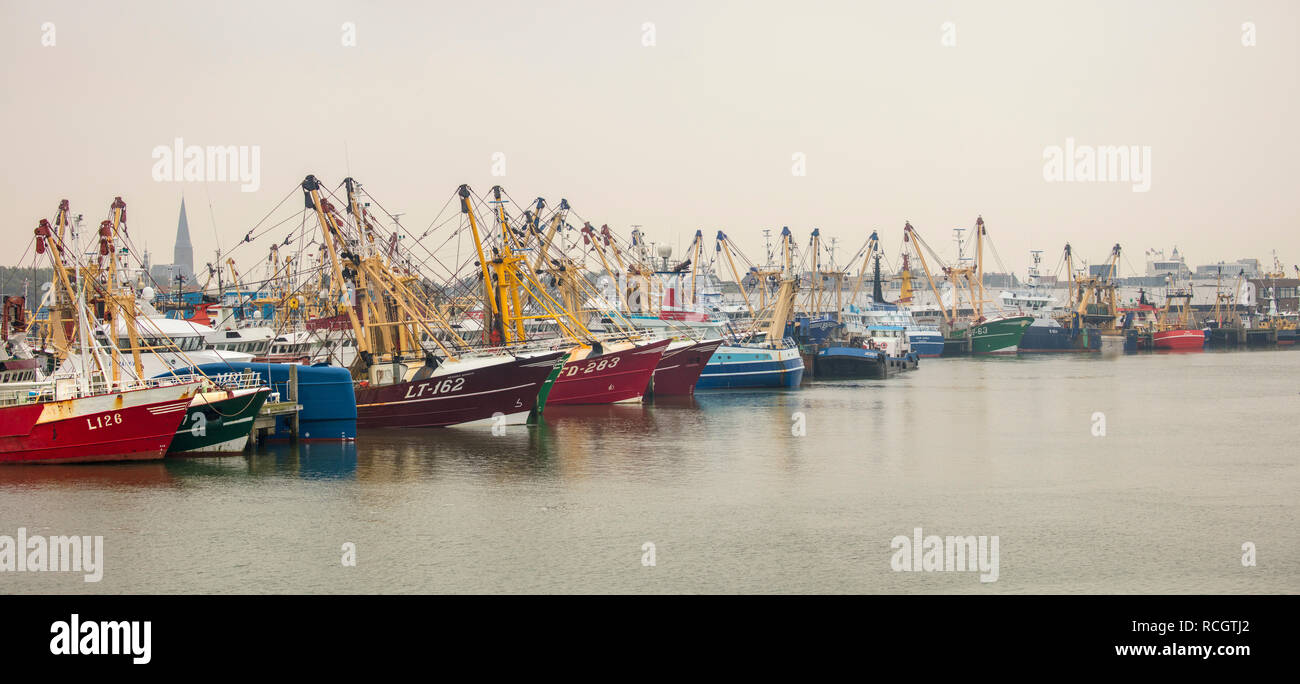 The Netherlands, Harlingen. Fishing boats in harbour, port. Stock Photo