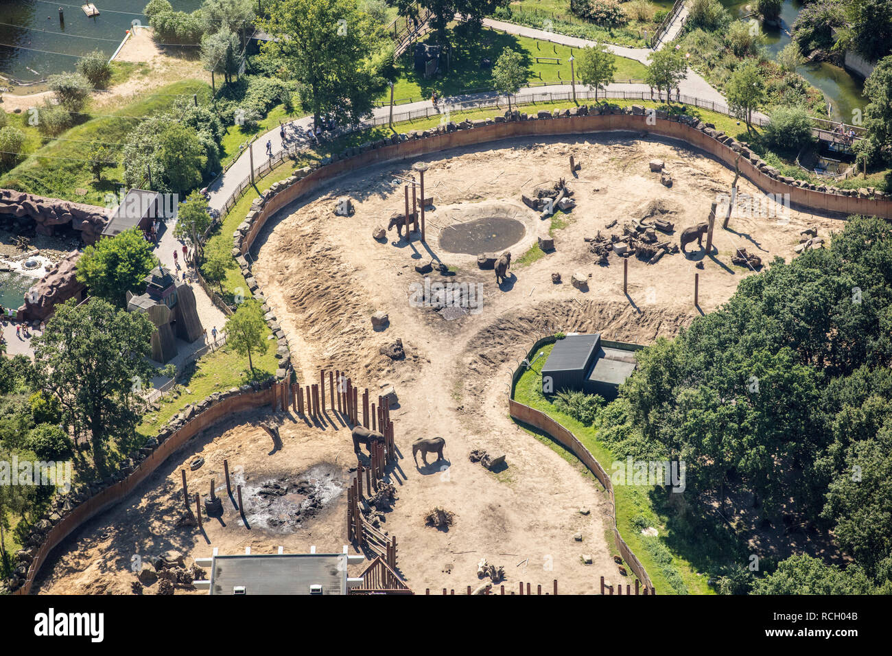 The Netherlands, Arnhem, Burger's Zoo, elephants. Aerial. Stock Photo