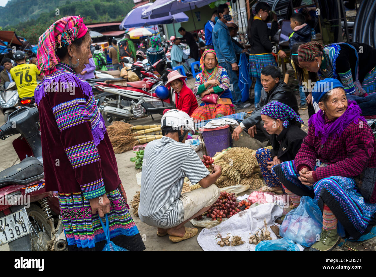Old hmong women in north hi-res stock photography and images - Alamy