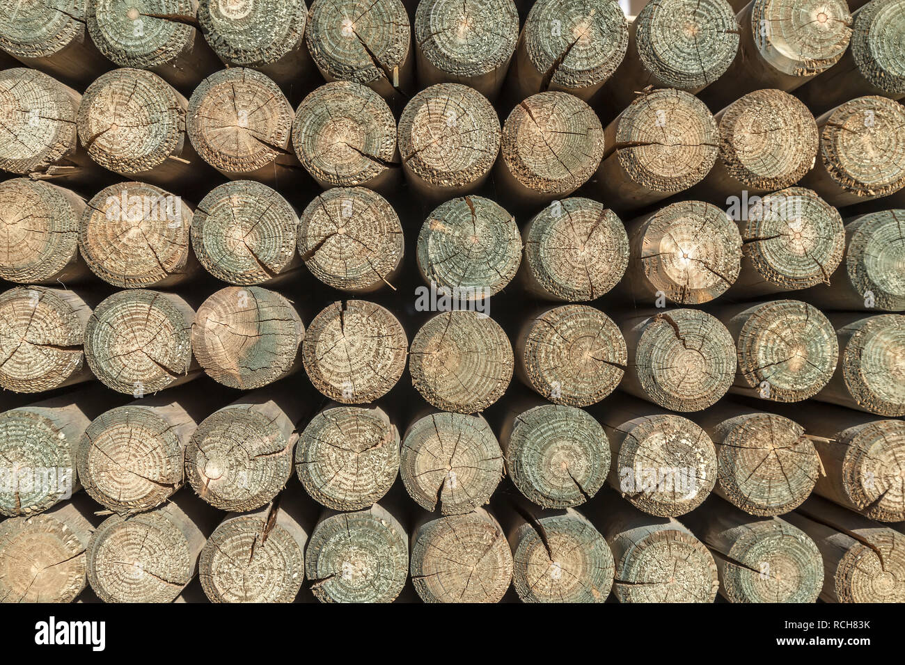 stack of round wooden pillars, cross section Stock Photo