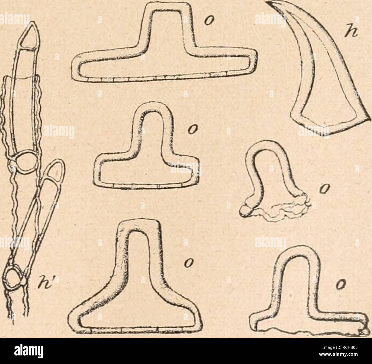 Esparto sandalen hires stock photography and images Alamy