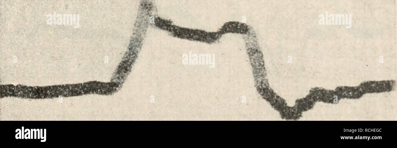 Kurve straßenschild -Fotos und -Bildmaterial in hoher Auflösung – Alamy