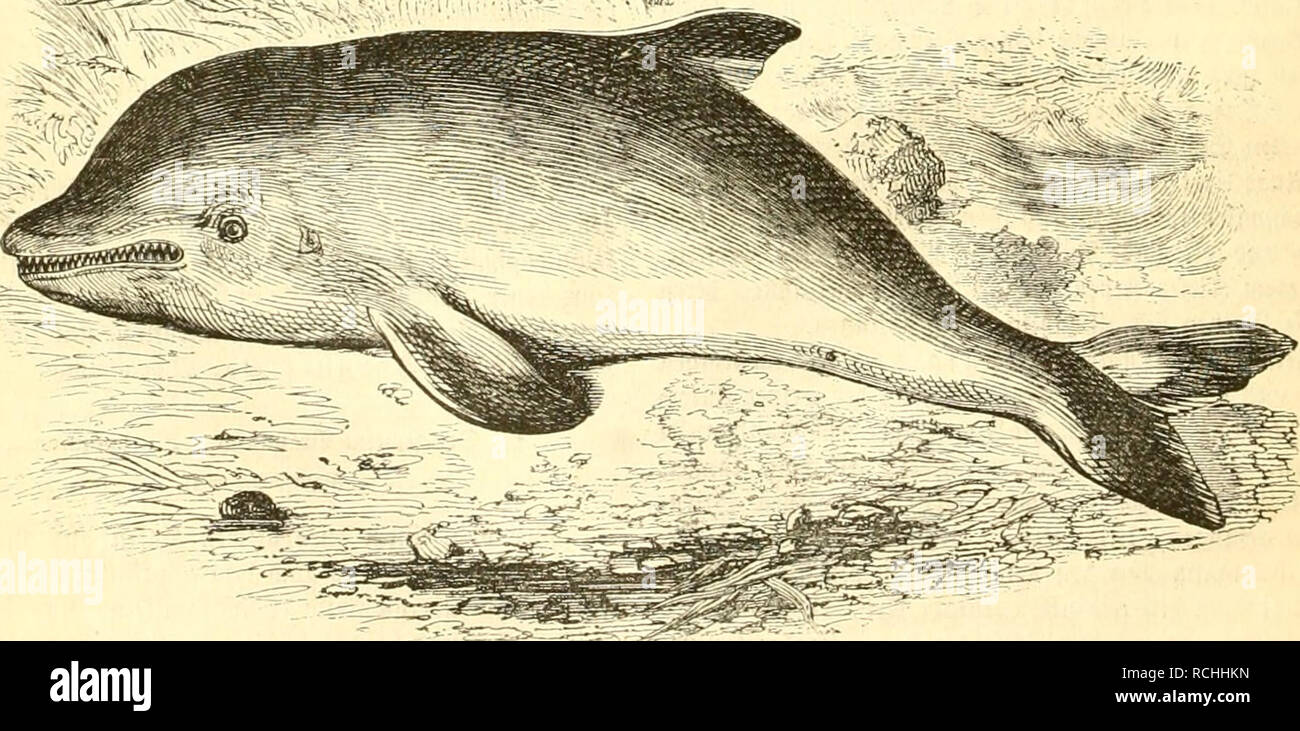 Atei High Resolution Stock Photography And Images Alamy