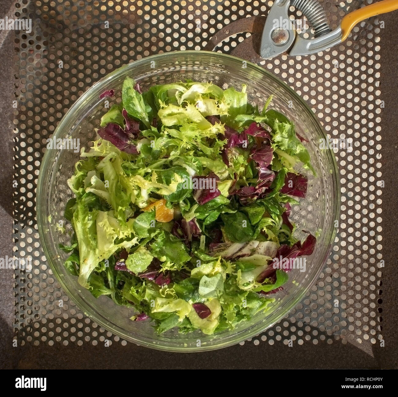 Mixed green and purple salad in glass bowl on rusty iron background. Stock Photo