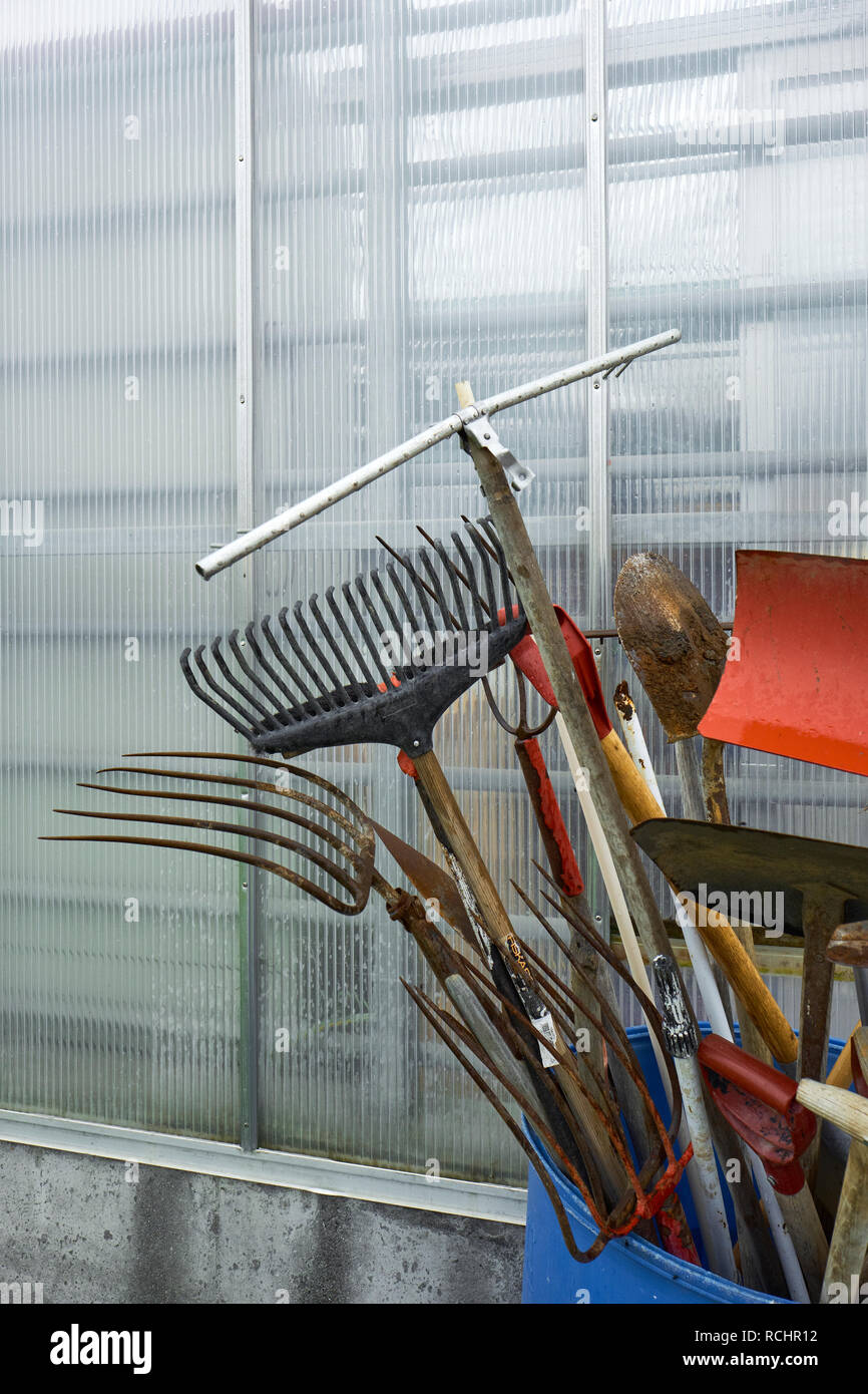 Garden tools stored outside at an allotment ready for use Stock Photo
