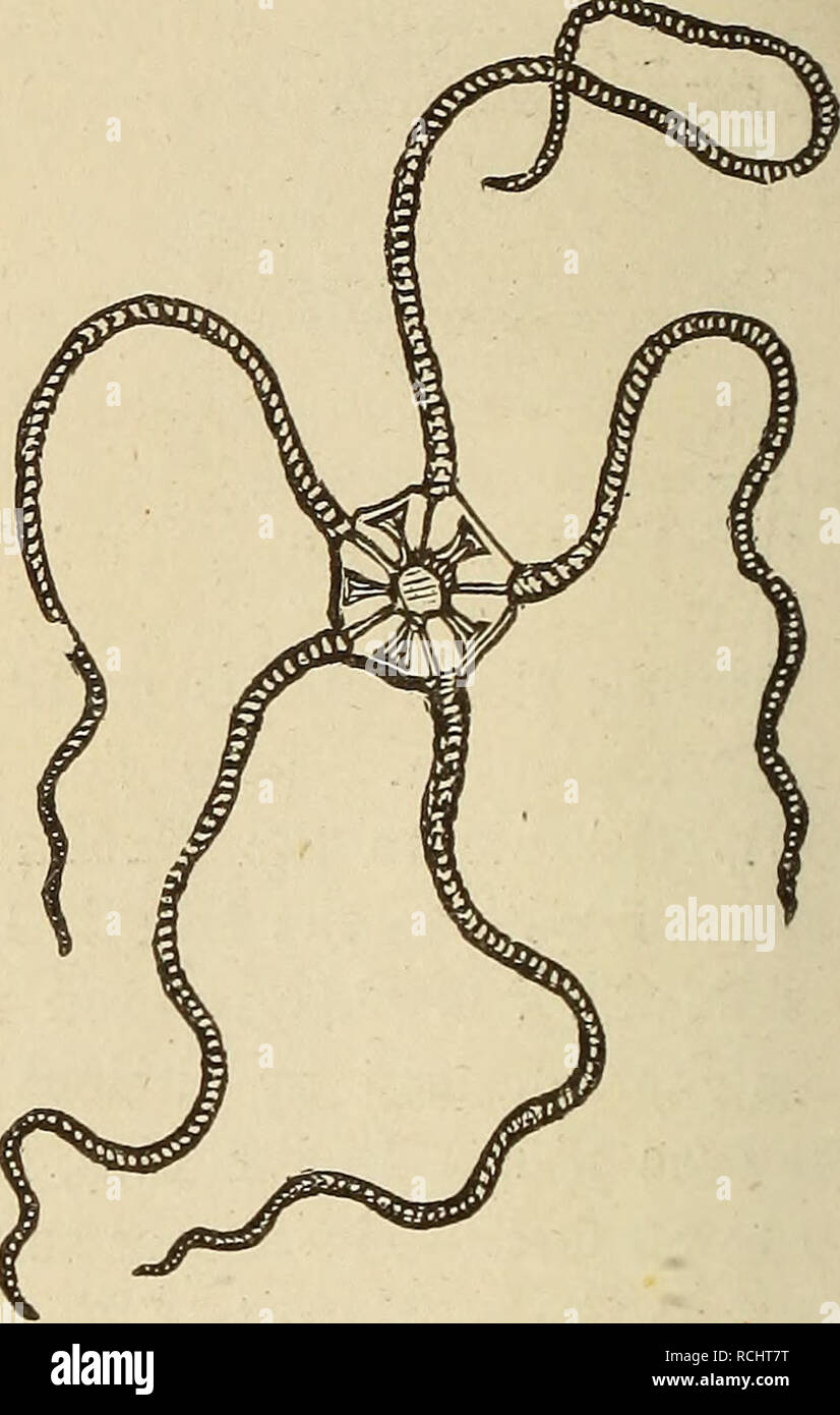 . Elements of geology, or, The ancient changes of the earth and its