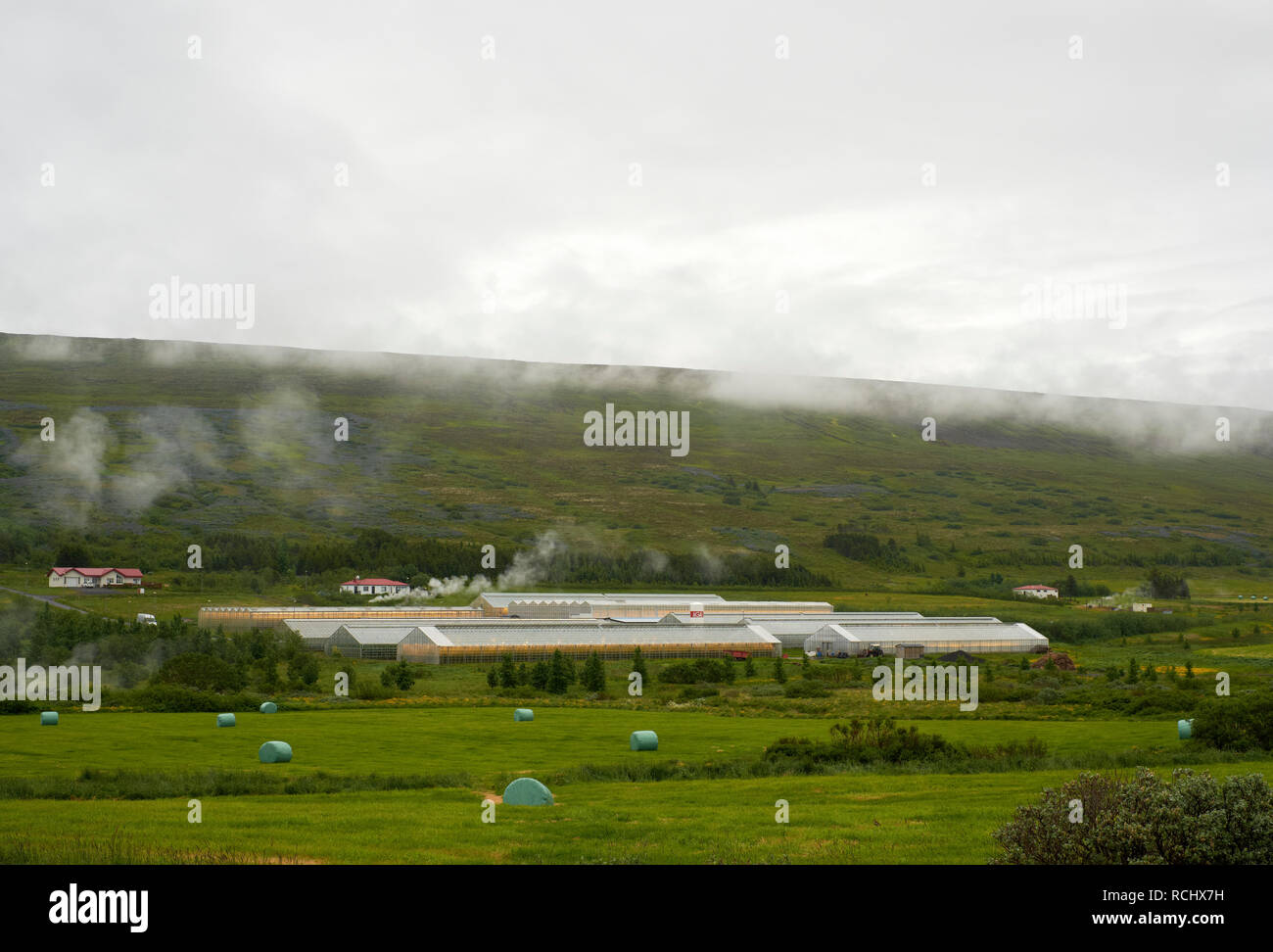 The geothermally powered and heated Hveravellir farm and greenhouses near Húsavík in Iceland. Stock Photo