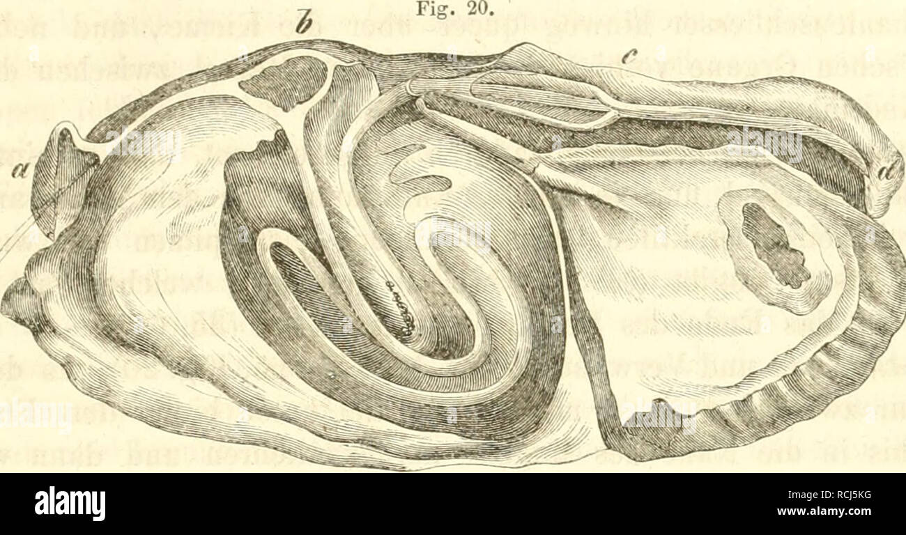 Page 3 Kloake High Resolution Stock Photography And Images Alamy