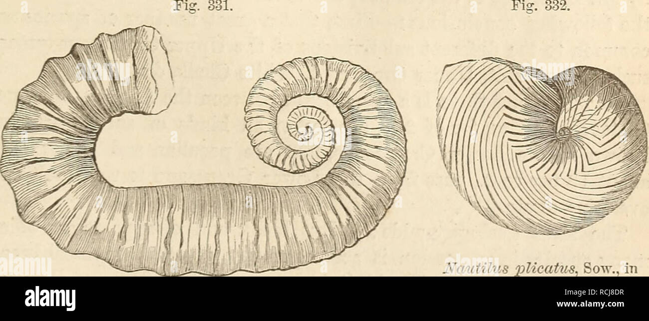 . Elements of geology, or, The ancient changes of the earth and its ...