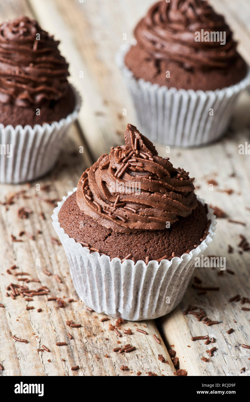 Homemade Chocolate cupcakes Stock Photo