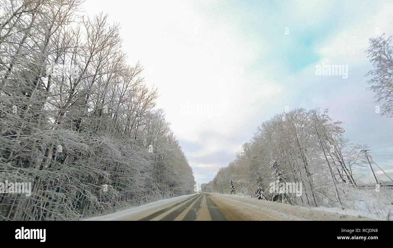 Country road in winter along the forest with white snow trees Stock ...