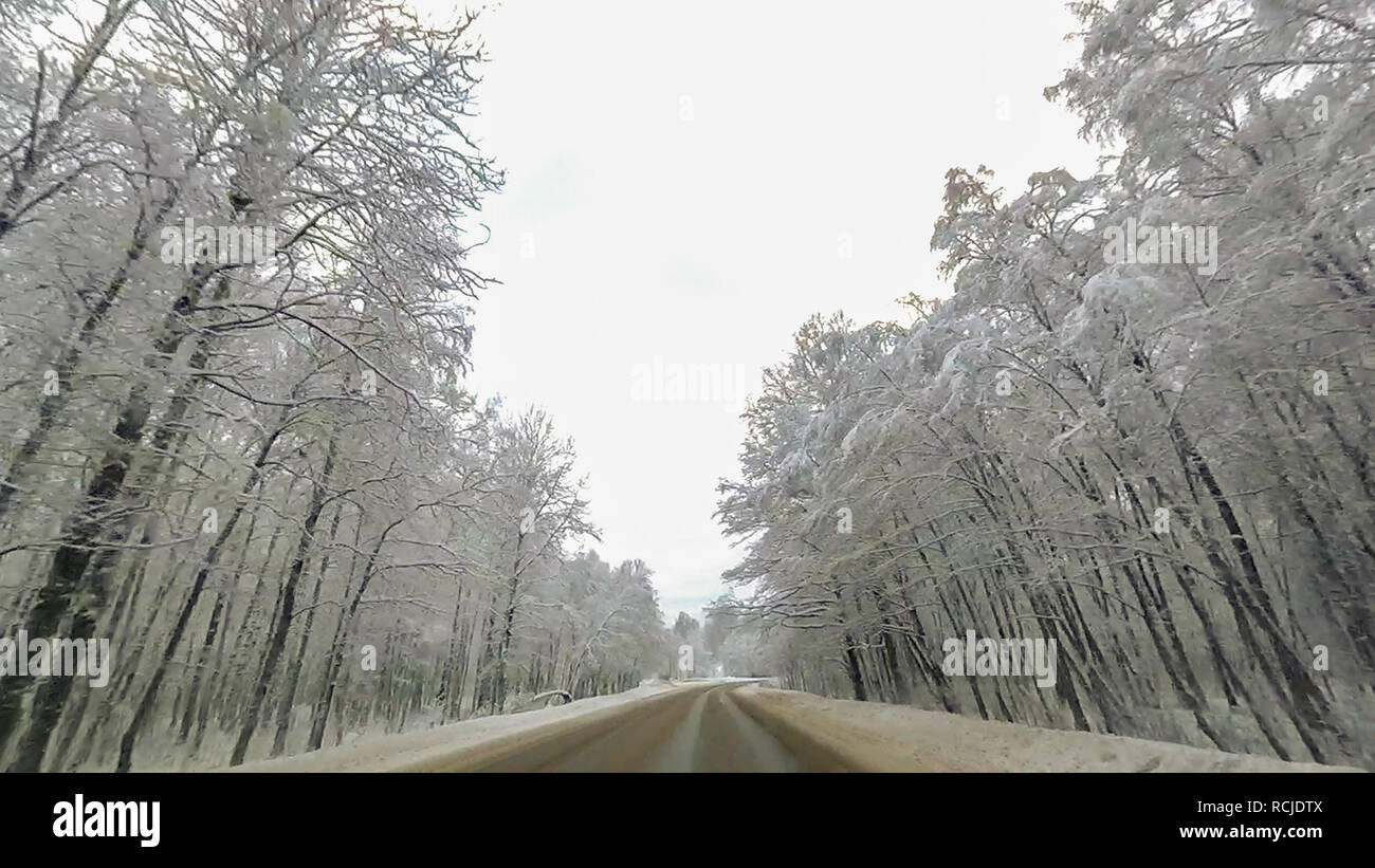 Country road in winter along the forest with white snow trees Stock ...