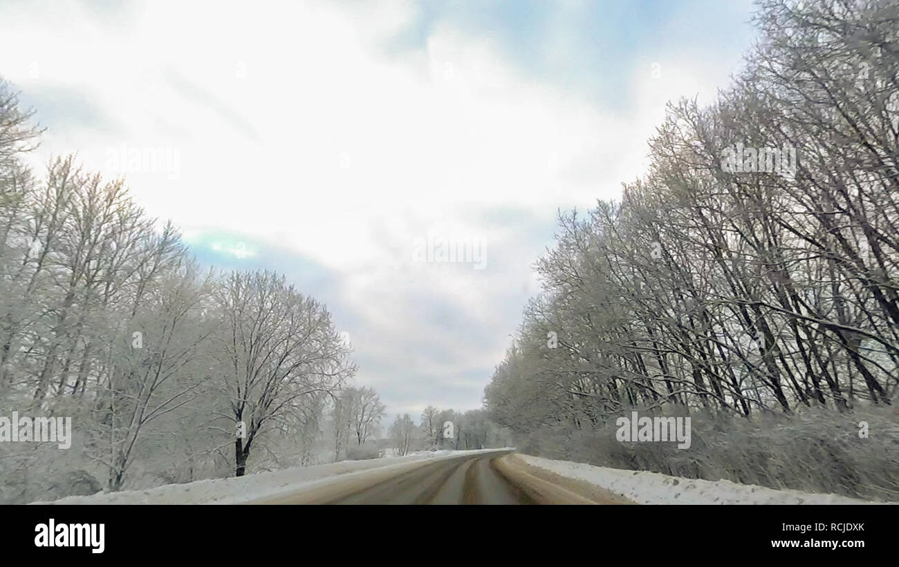 Country road in winter along the forest with white snow trees Stock ...