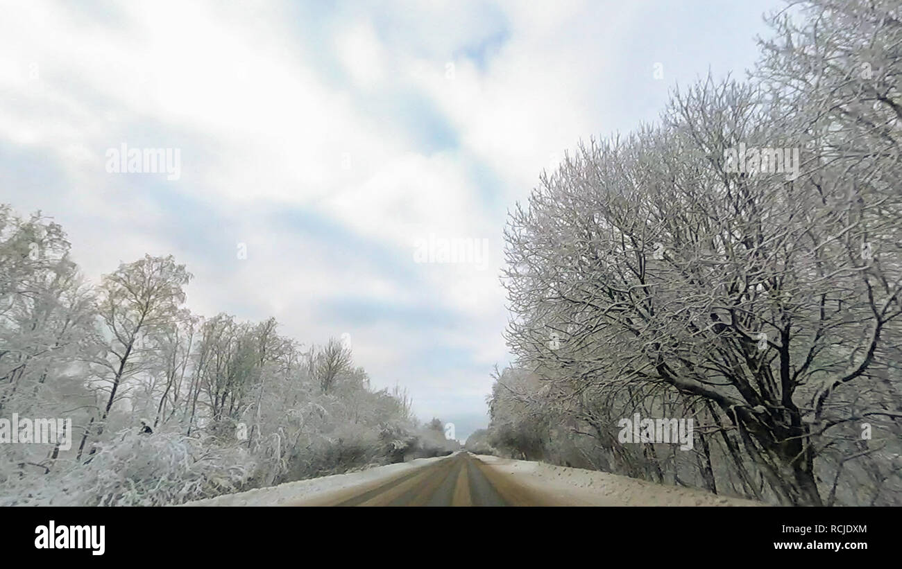 Country road in winter along the forest with white snow trees Stock ...