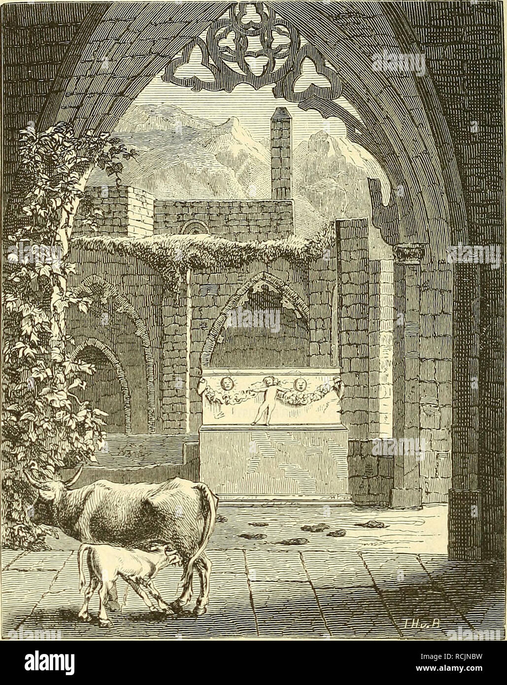 . Die insel Cypern, ihrer Physischen und Organischen Natur nach mit Rücksicht auf ihre frühere Geschichte. Botany. 516 noch am besten erhalten. Hier ruhen auch die Gebeine des Stifters ohne preisende Epitaphien, obgleich dieser Fürst, ein Freund der Wissenschaften *) und der Künste, sich für das kleine Königreich den Namen des Grossen erworben hatte.. Das Innere der Abtei Bellapais. Unmittelbar vor der Thüre des grossen Refectoriums, das jetzt Rindern zum Aufenthalte dient, steht ausser den Bogen °) Thomas von Aquino hat ihm sein Buch „Von der Regierung der Fürsten&quot; dedicirt.. Please note Stock Photo