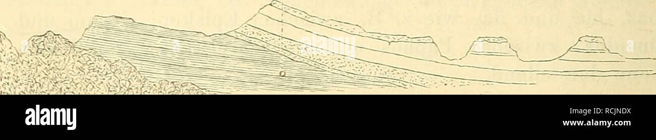 . Die insel Cypern, ihrer Physischen und Organischen Natur nach mit Rücksicht auf ihre frühere Geschichte. Botany. 30 über den Sandstein ausgebreitet und in gleichen Lagerungs- verliältnissen wie dieser vor. Dieser Kalkmergel ist durch seine oft kreidenweisse Farbe, durch den erdigen Bruch, durch die deutliche Schichtung, desgleichen durch die auf einzelnen Schichten vorkommenden Hornsteinlager sehr arus- gezeichnet, so dass die Benennungen von Ortschaften häufig von der Farbe des Gesteines hergenommen sind, wie z. B. Levkara, Levka, Levkonico u. s. w., welche durchaus das Wort levxög weiss, g Stock Photo