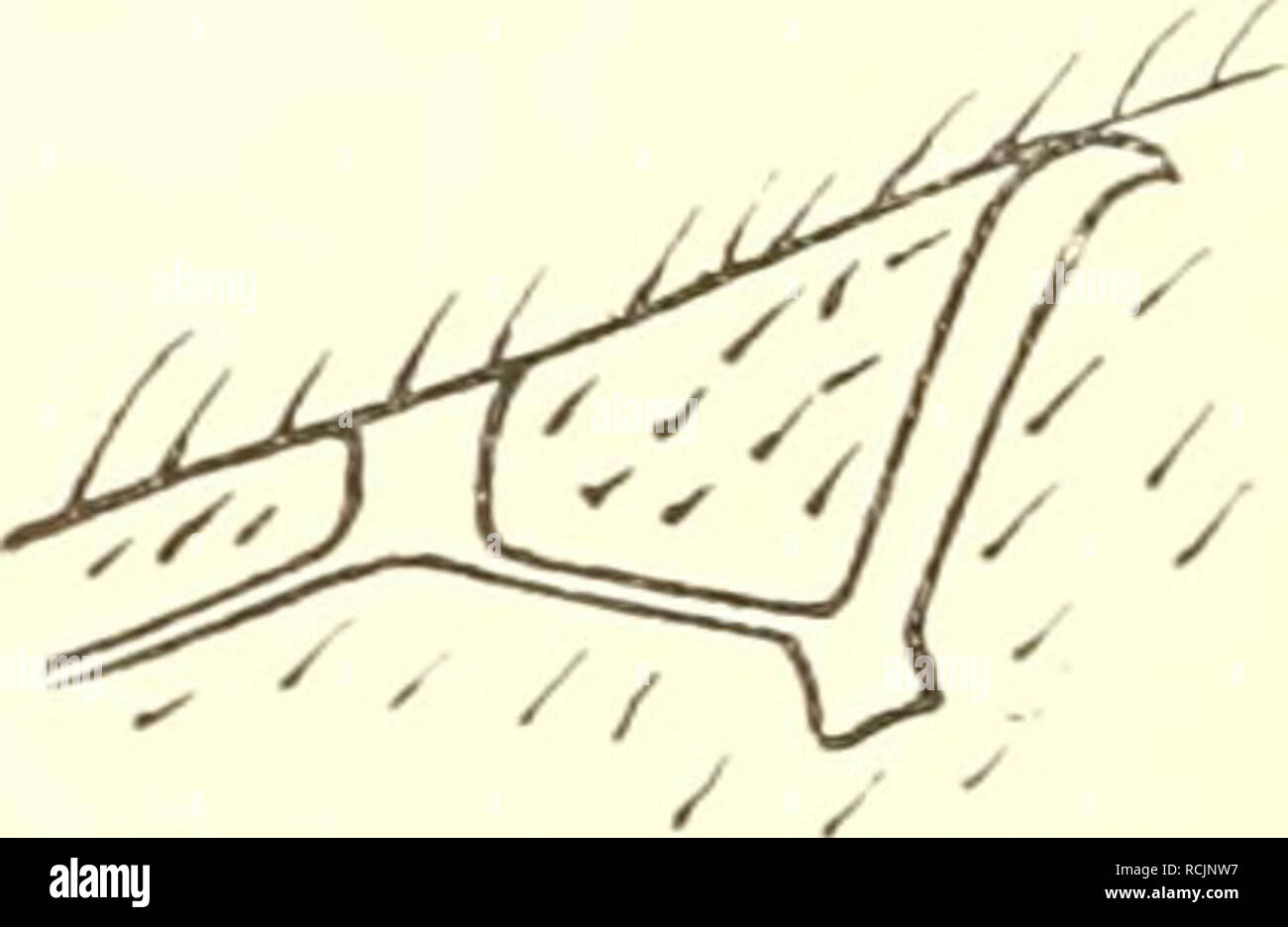 Page 7 L 56 3 High Resolution Stock Photography And Images Alamy