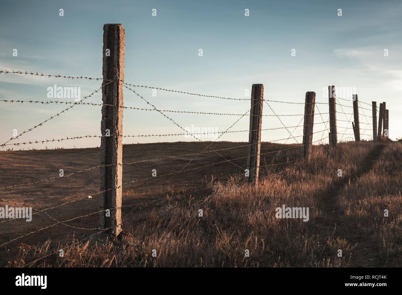 Perspective view of an old barbed wire fence is on dry grass field ...